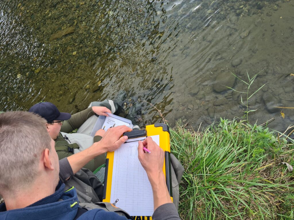 StudiiDeMediu.ai: ghidul tău în jungla documentațiilor de mediu