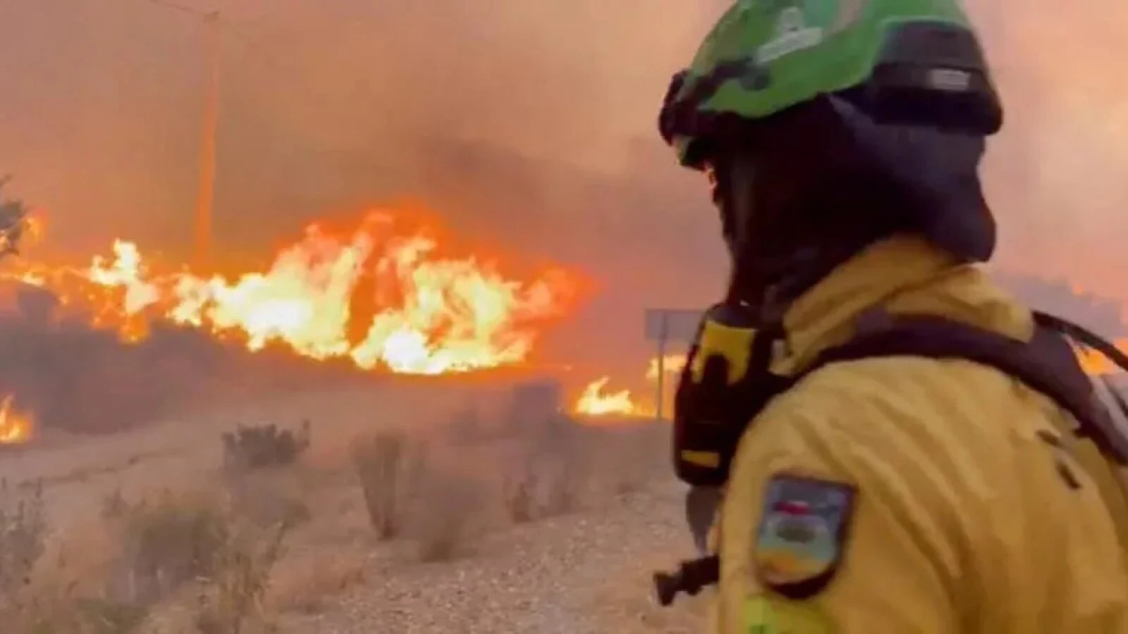 Incendiu puternic reaprins în Pădurea Fontainebleau