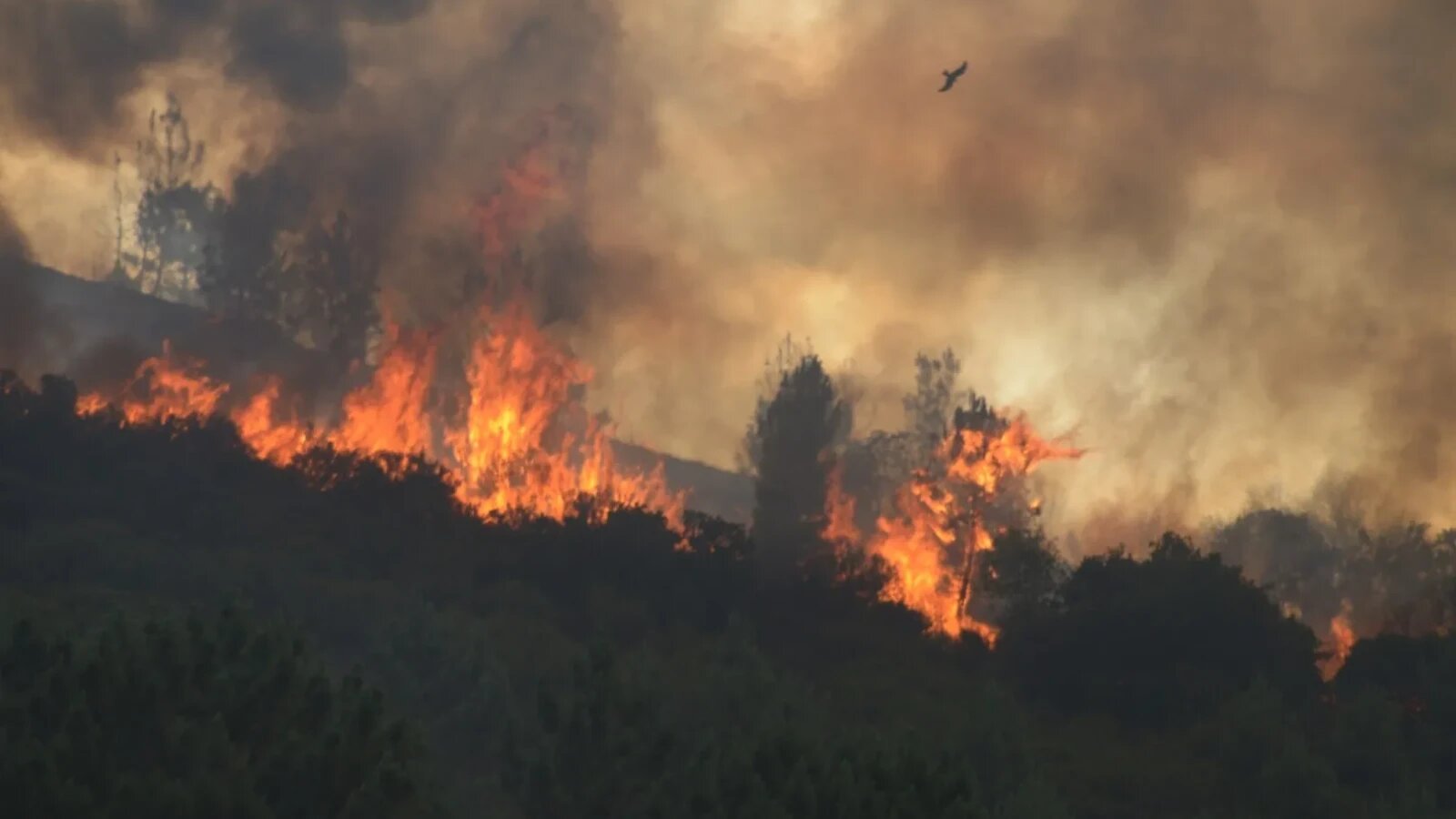 VIDEO 'Mai multe bombe atomice': Experții avertizează că Europa a intrat într-o eră fără precedent a incendiilor