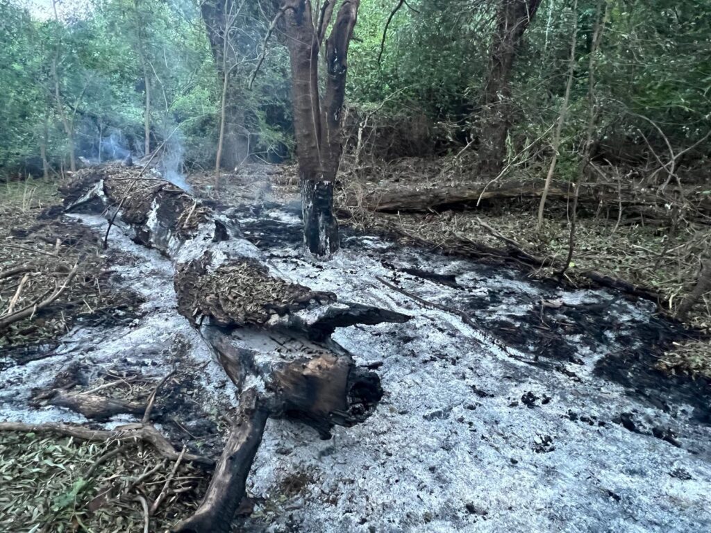 Mesaj RO-Alert de avertizare cu privire la fragmente de drone care ar putea cădea în nordul județului Tulcea / Precizările MApN