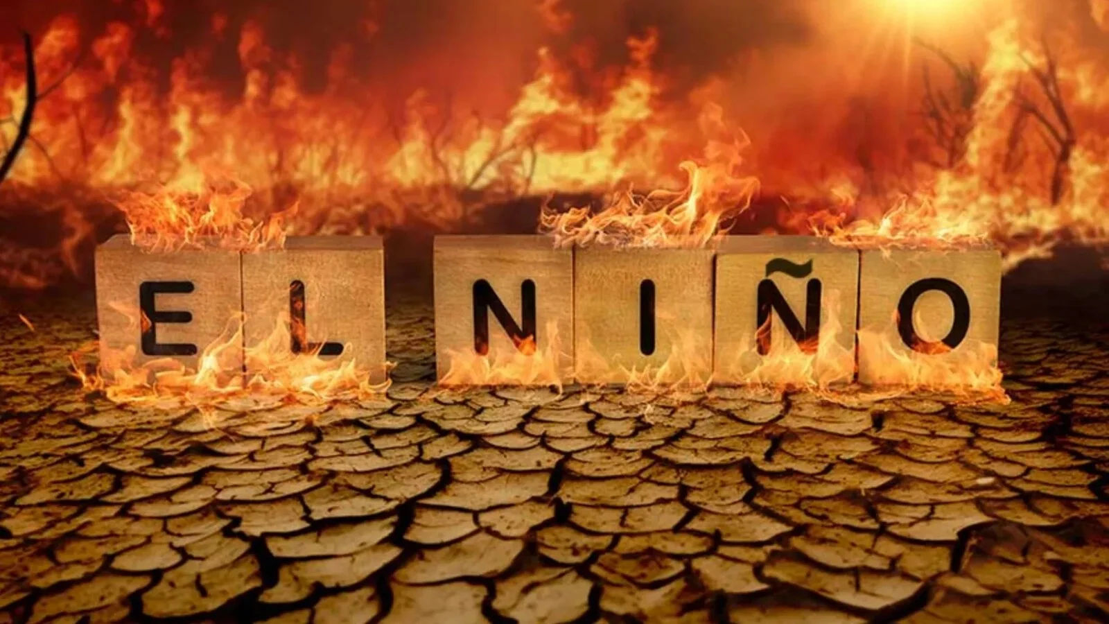 ONU avertizează: Un El Niño puternic va accentua căldura pe planetă