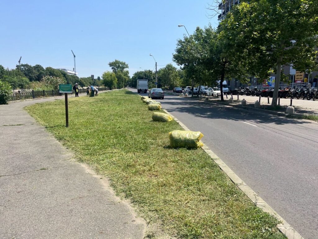 FOTO | Asociația Parcul Natural București: Pajiștea plină de flori de pe malul Dâmboviței a fost tunsă periuță, îndesată în saci de plastic și aruncată la marginea șoselei, să fie luată de gunoieri