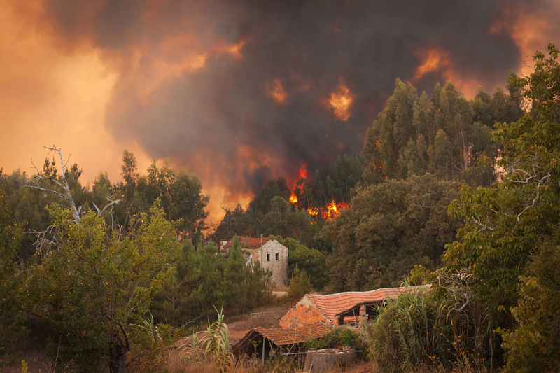 Două elicoptere s-au ciocnit în Grecia în timp ce interveneau la un incendiu violent