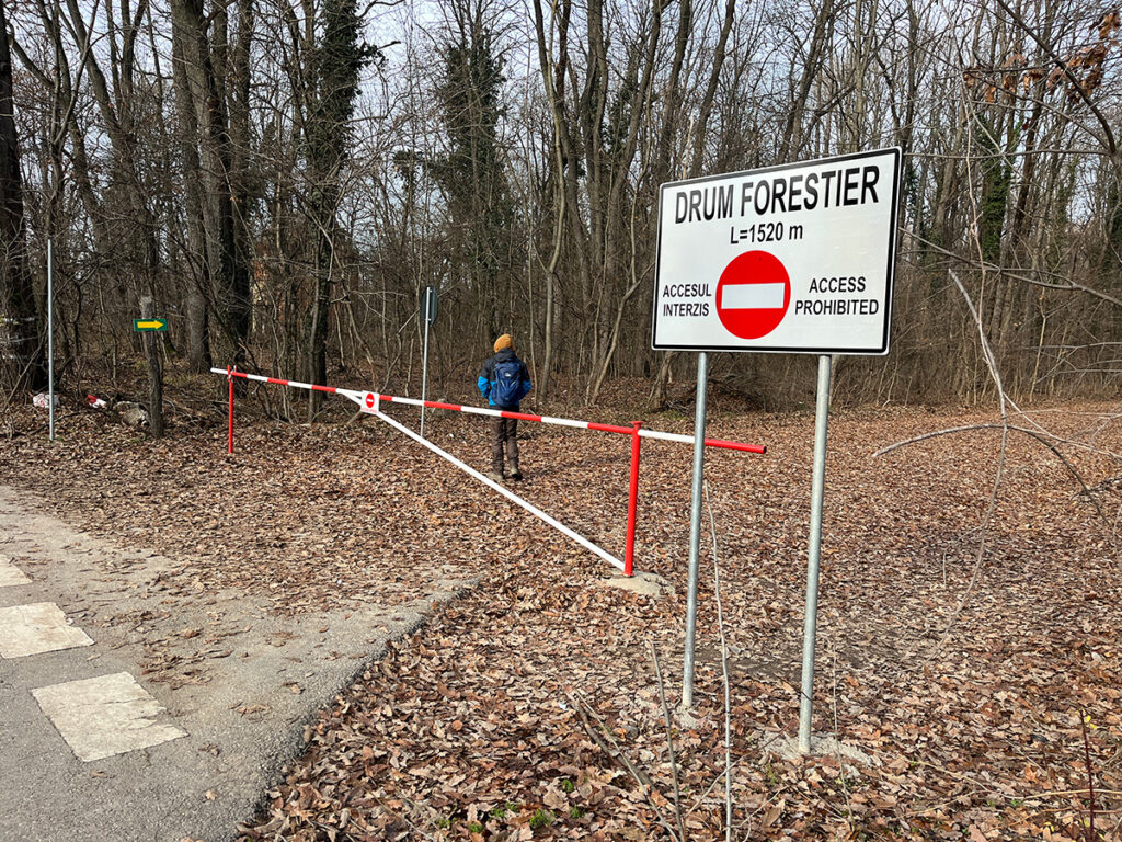Familie cu un copil de doi ani, salvată de jandarmi după ce GPS-ul i-a condus pe un drum forestier
