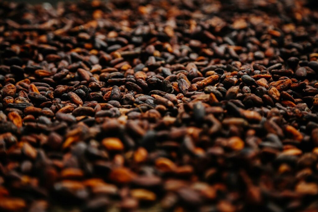 Cultivatorii de cacao din Ghana riscă până la 20 de ani de închisoare dacă schimbă destinația fermelor