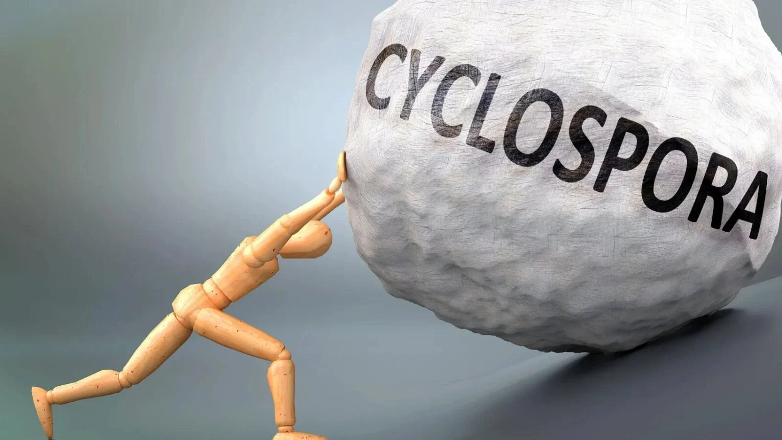 Ce este Cyclospora, parazitul care a plecat din SUA și provoacă un val uriaș de îmbolnăviri: Simptomele se resimt imediat și au o evoluție explozivă