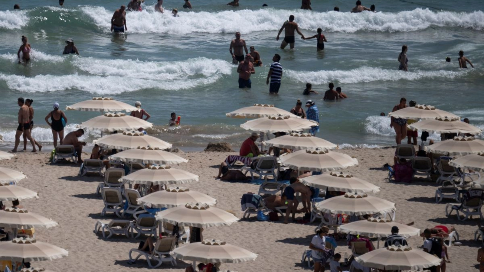 Controale de amploare pe litoral: ANSVSA a aplicat amenzi de sute de mii de lei pentru neregulile descoperite