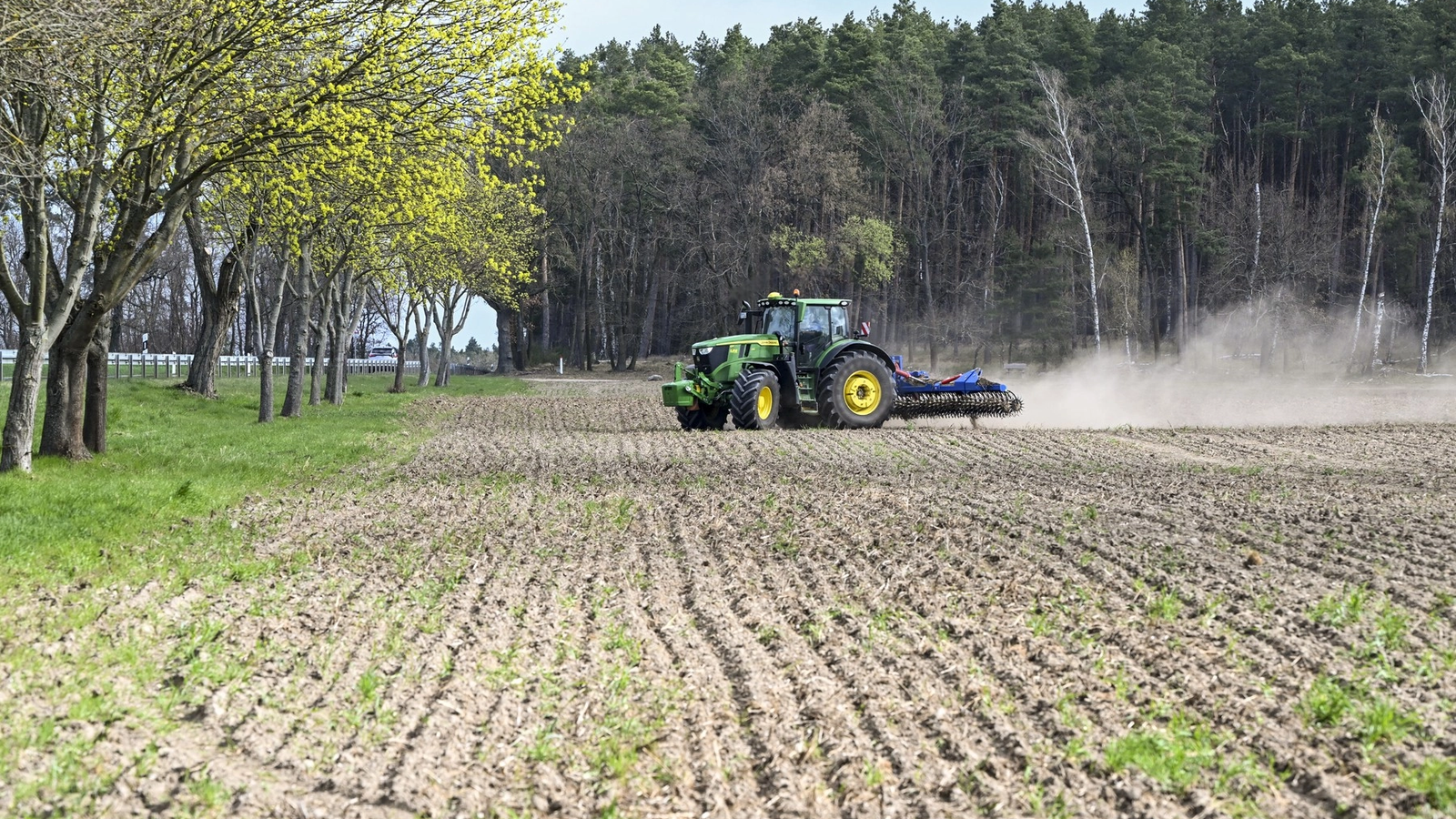 Motorina scumpă apasă greu pe agricultura românească: Fermierii pierd teren în competiția internațională (raport)