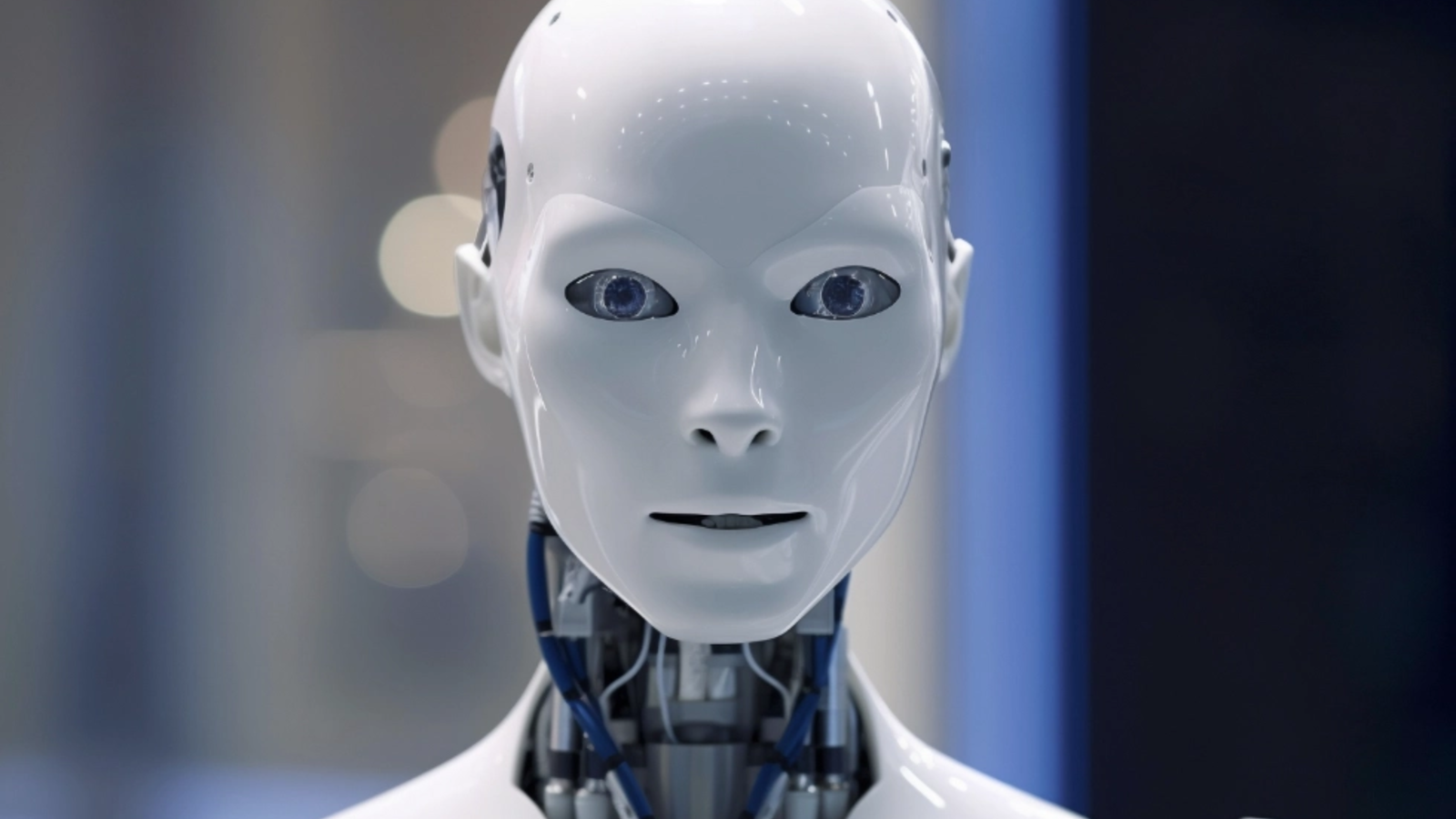 Falsul chatbot AI din San Francisco: povestea proiectului ChatTJB