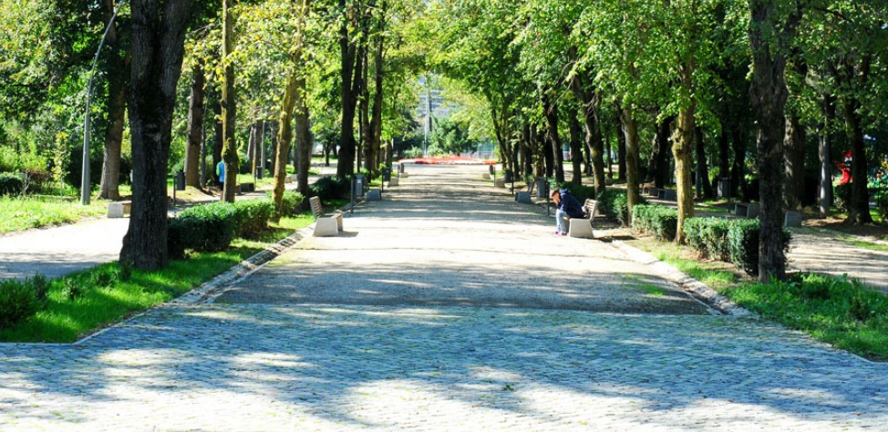 Probleme într-un parc din Cluj-Napoca. Mai multe bănci din lemn s-au rupt: „Au început să se destrame”