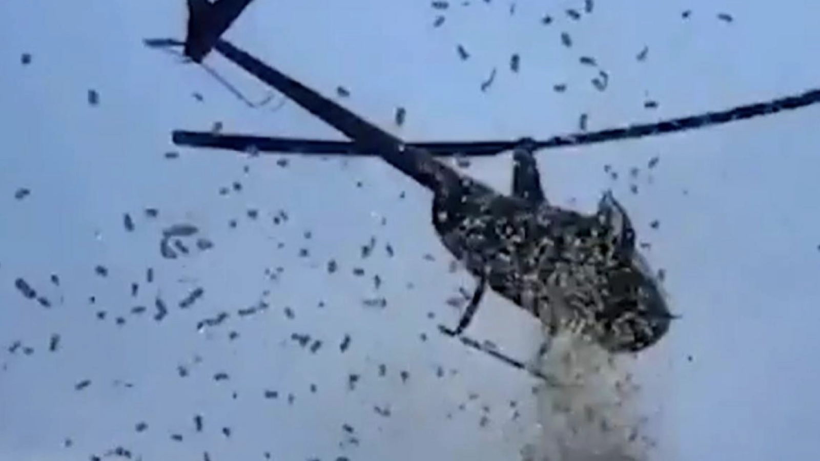 VIDEO Aterizare 'la botul calului' pentru fiica unui controversat afacerist de pe litoral: Elicopterul ajuns fără voie pe o proprietate privată a făcut prăpăd înainte să decoleze