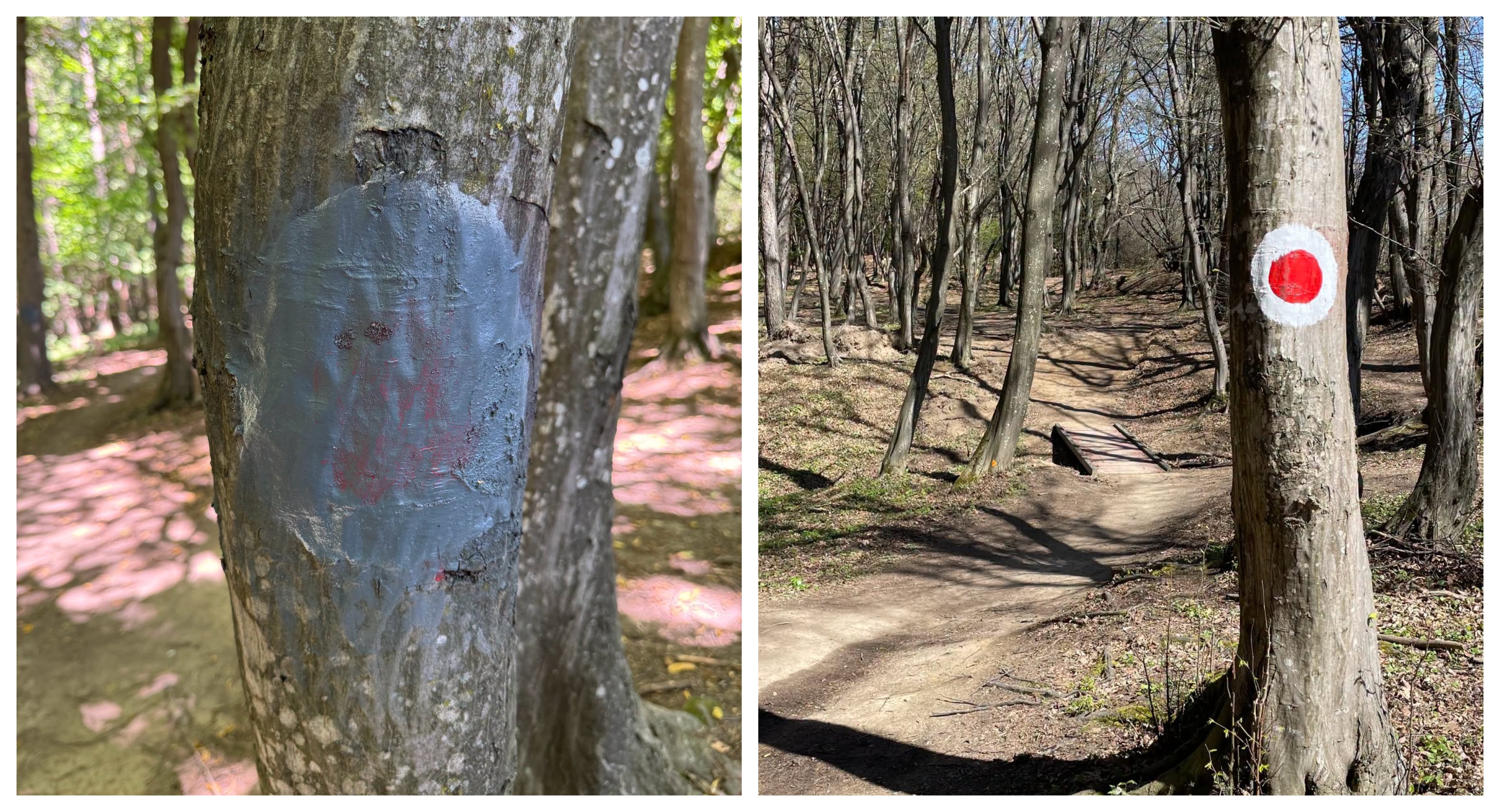 „Act de vandalism, absolut inutil!” Traseul pentru persoanele cu dizabilități din Făget, Cluj, va fi refăcut după ce a fost distrus de „binevoitori”
