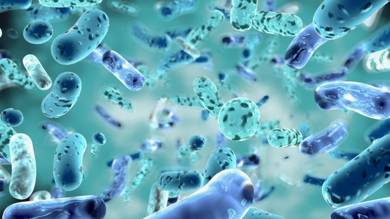 Revine bacteria "mâncătoare de carne". S-a găsit în apele de coastă, cinci oameni au murit