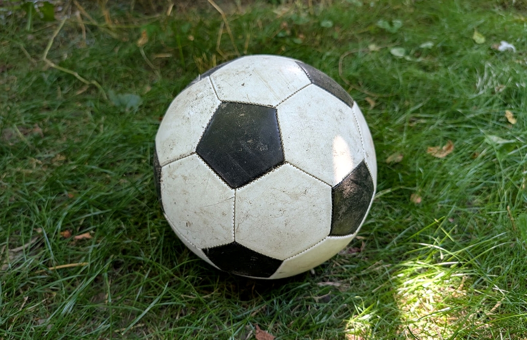 Poliția boliviană a descoperit 86 de kilograme de marijuana într-un autocar cu inscripțiile echipei braziliene FC Santos