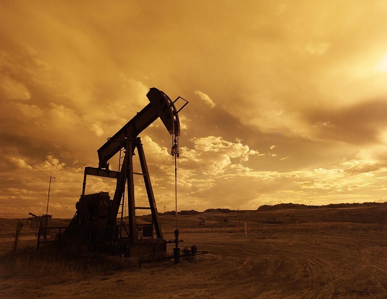 OPEC înrăutăţeşte din nou estimările ce privesc creşterea cererii globale de petrol în 2026, cu 600.000 barili pe zi