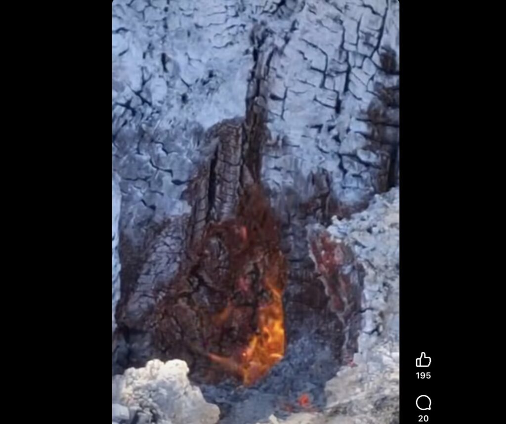 Parcul Natural Lunca Mureșului, fenomen neobișnuit: Copacii ard din interior, de la rădăcină în sus