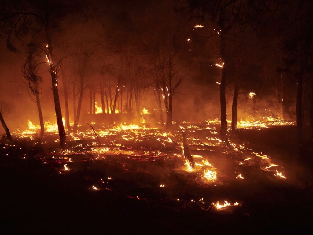Spania a evacuat rămăşiţele a trei regi din secolul al XI-lea dintr-o mănăstire ameninţată de incendii de vegetaţie