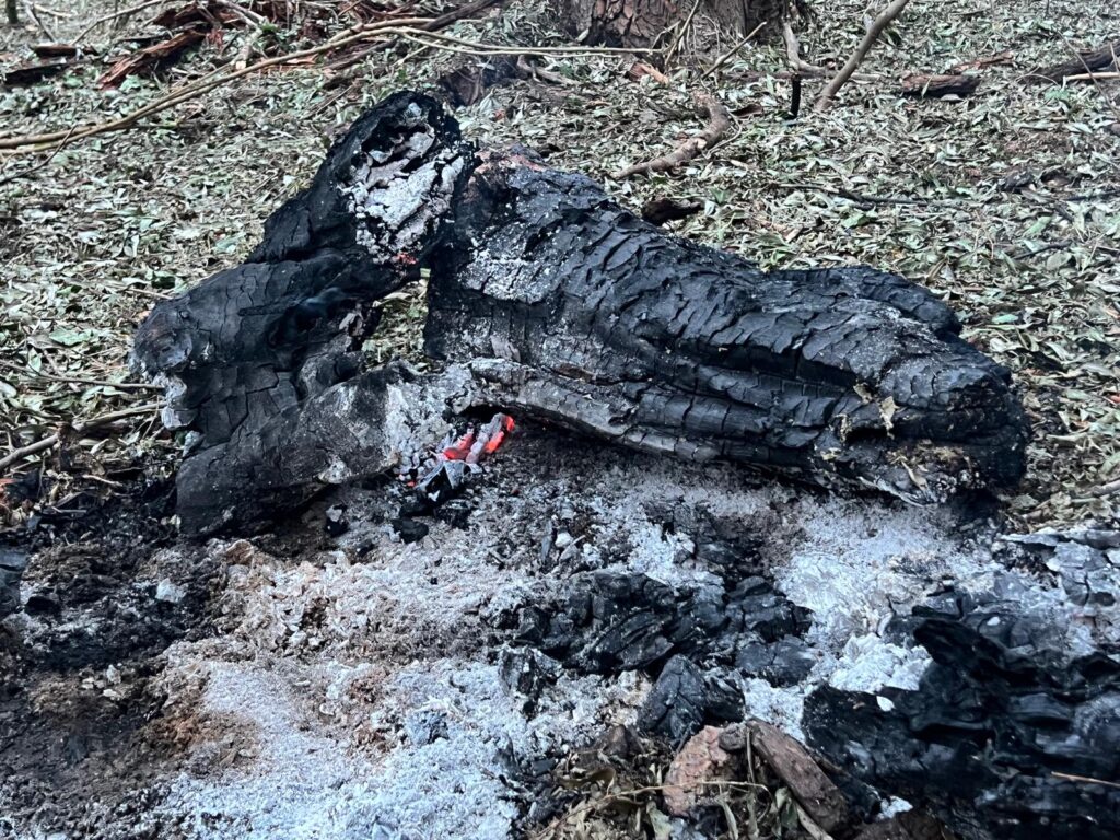 O nouă dronă găsită în județul Tulcea, la Plauru