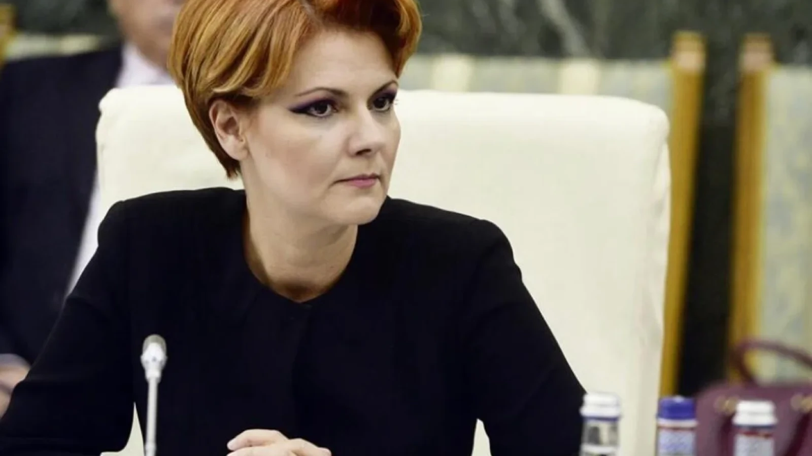 Olguța Vasilescu îl face praf pe Pîslaru în scandalul sporurilor: „Așa fac unii reformă! Cu picioarele, nu cu capul!”
