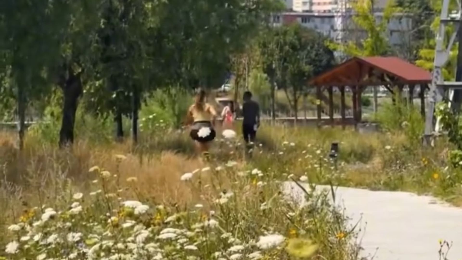 VIDEO. Întrebarea care i-a „măcinat” pe mii de clujeni are răspuns: De ce nu se taie iarba de pe malul Someșului. „Nu e pentru că nu avem bani”