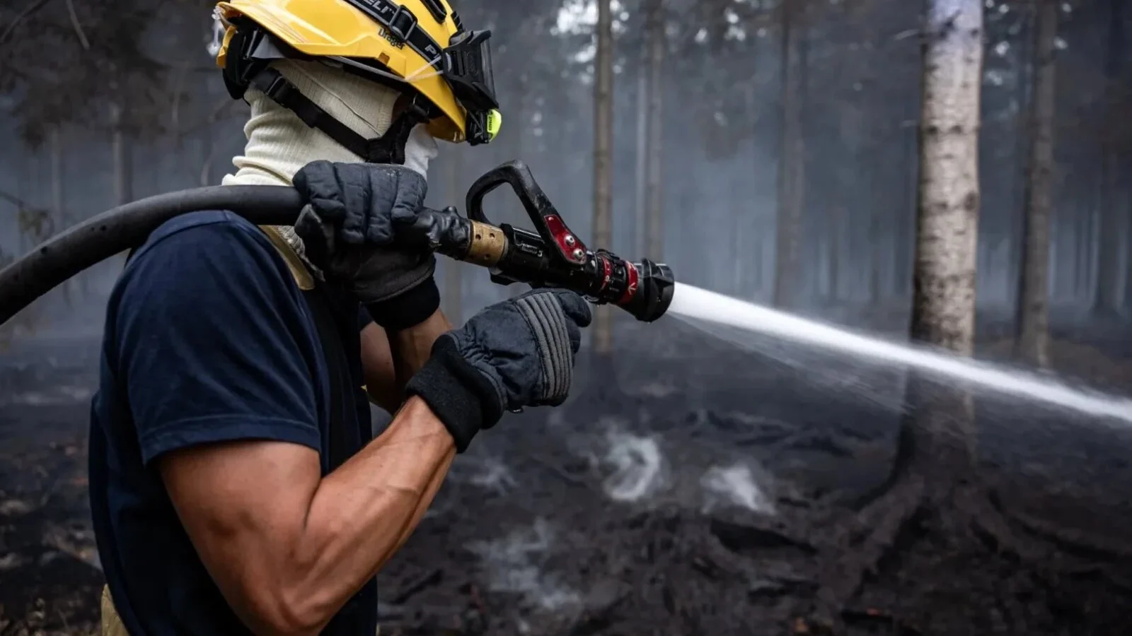 VIDEO Incendiul din Belgia scapă de sub control: cel mai mare foc de vegetaţie din istoria ţării se îndreaptă spre Germania