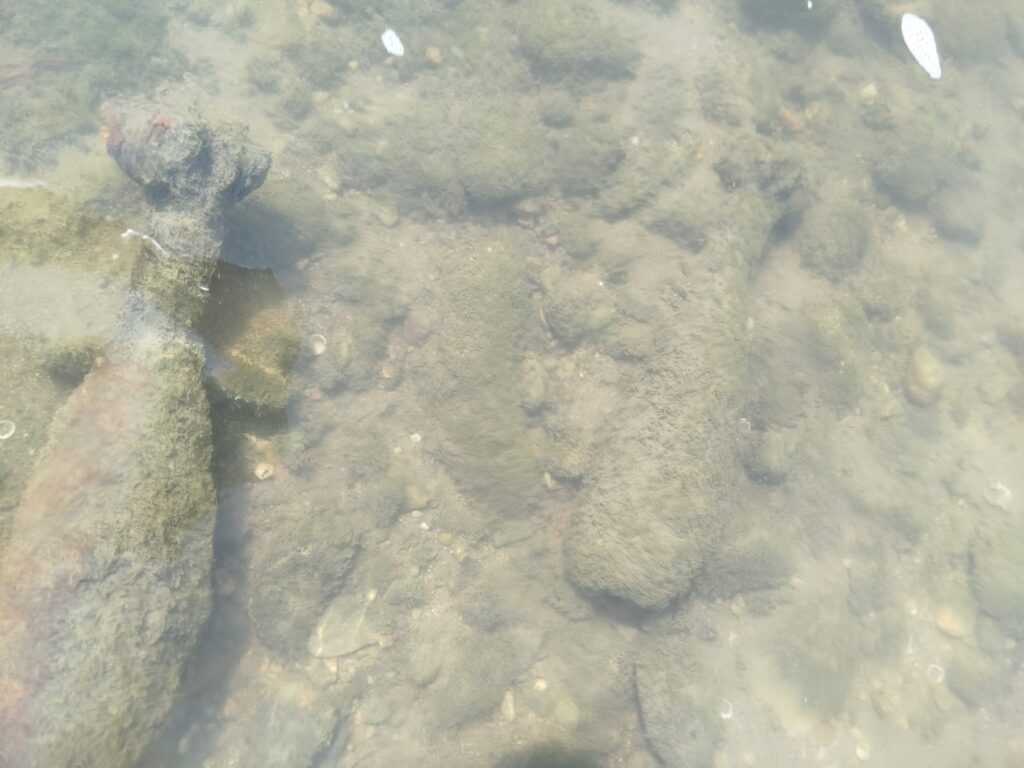 Două bombe de aruncător, descoperite în albia râului Jiu, în apropierea barajului Ișalnița
