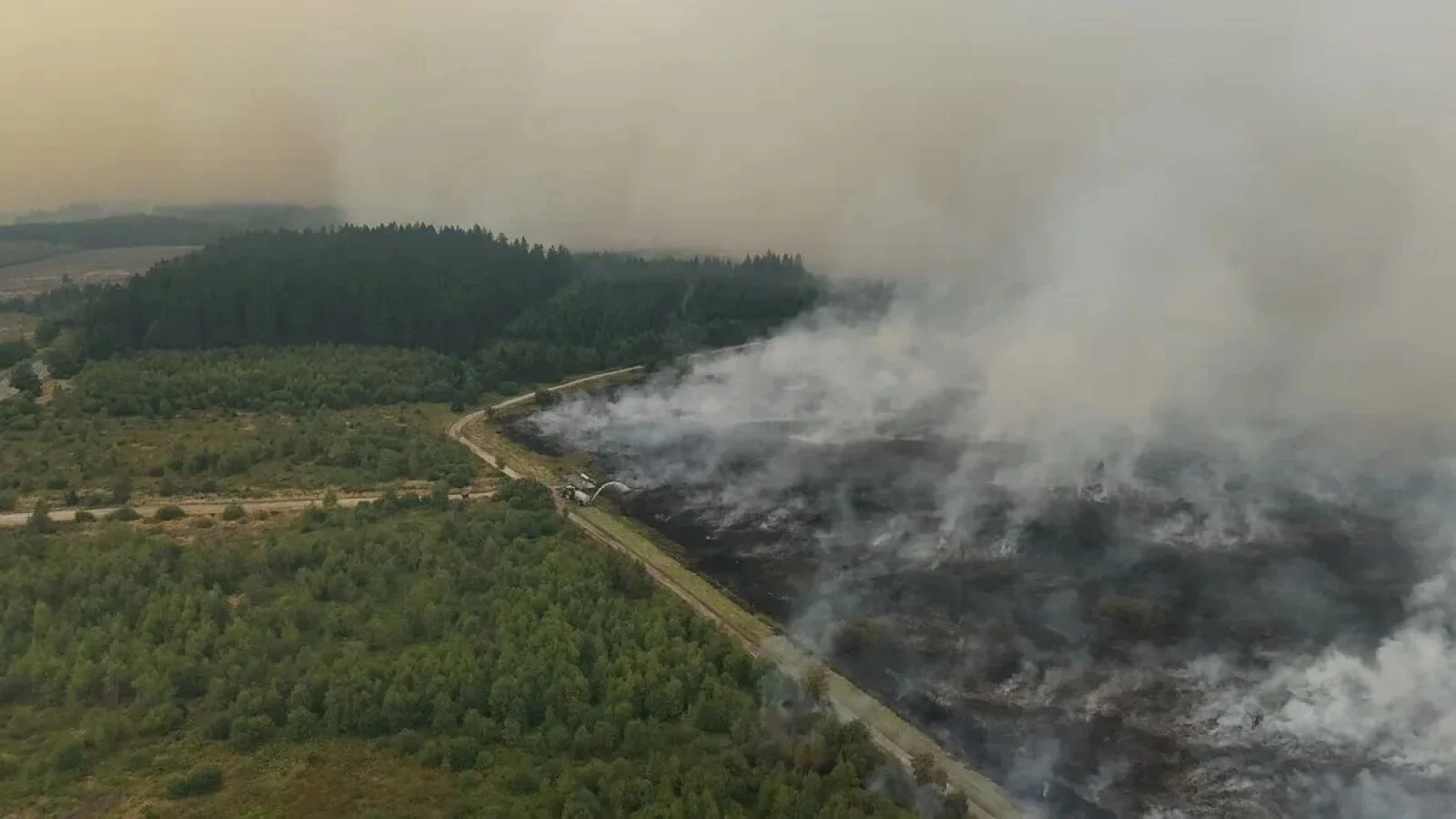 VIDEO Serbia arde. 45 de incendii sunt active, iar un om am murit. Fumul a ajuns în Bulgaria