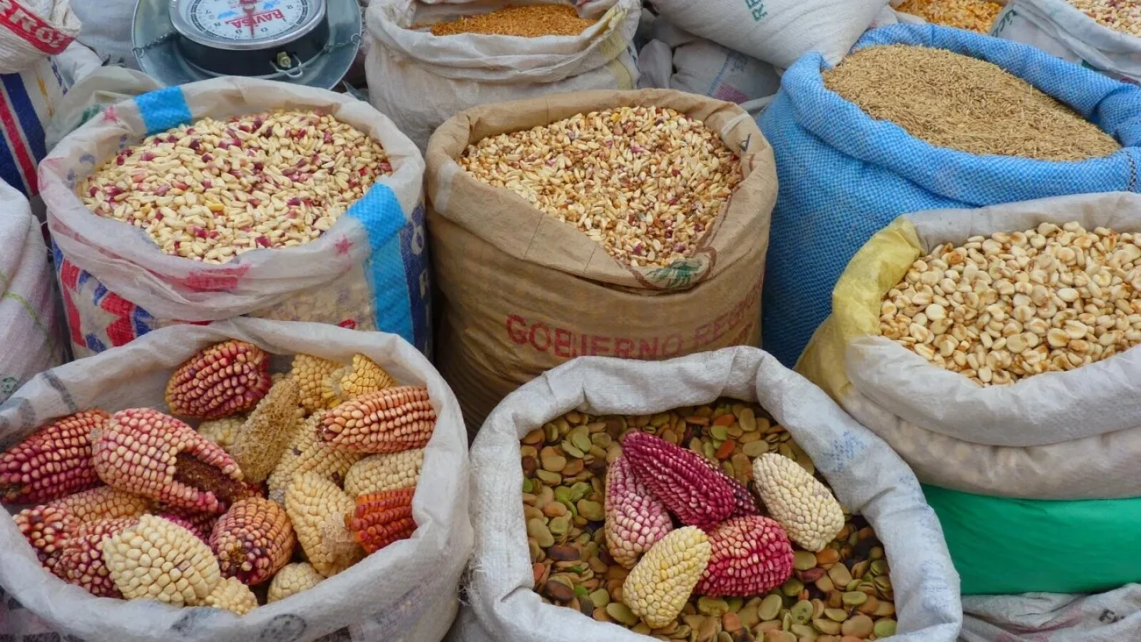 UE întoarce macazul pe piața cerealelor: Exporturile de grâu și orz se prăbușesc, importurile de porumb cresc