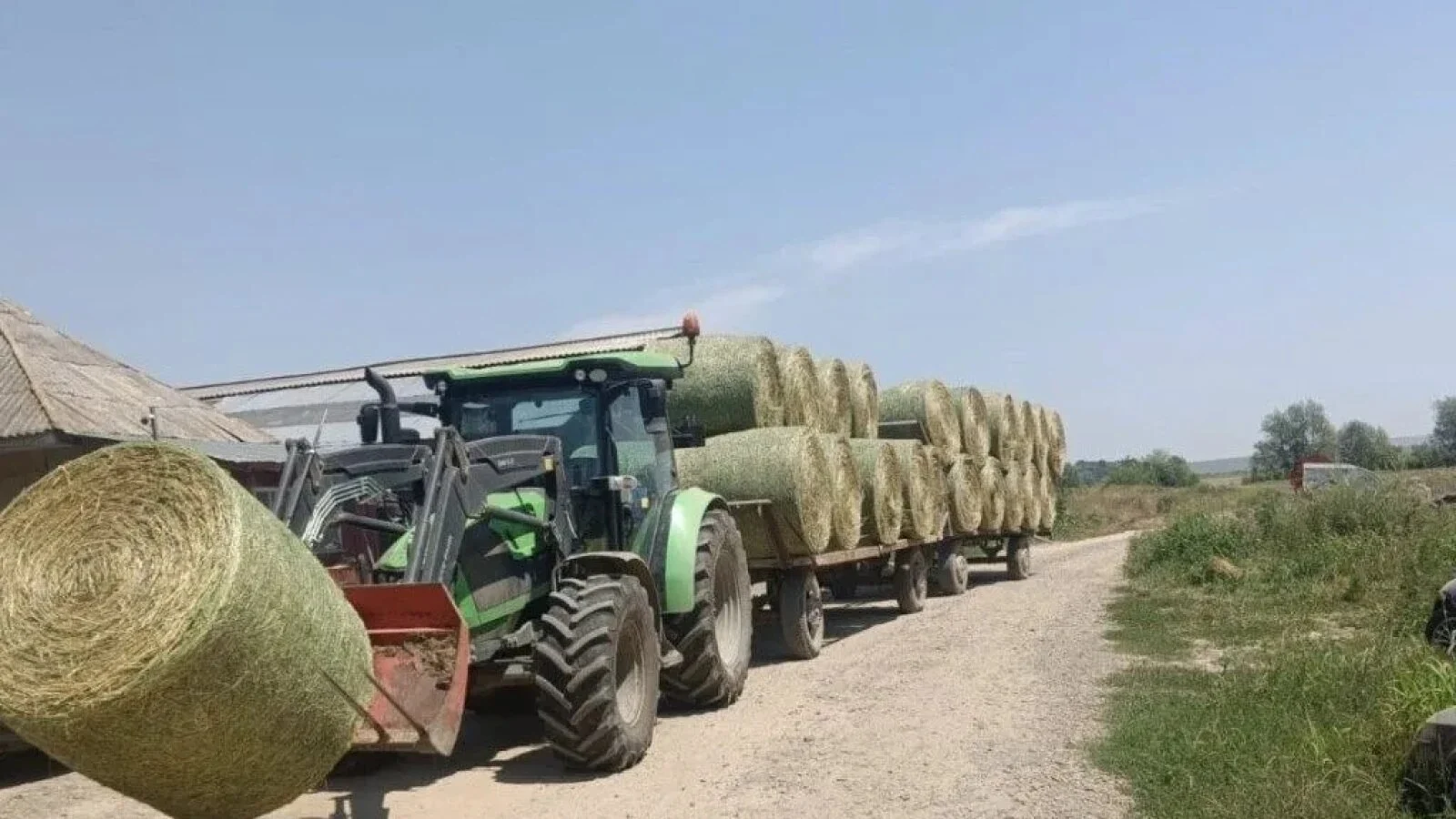 Seceta aprinde piața furajelor: Fermierii elvețieni cumpără masiv fân din Franța