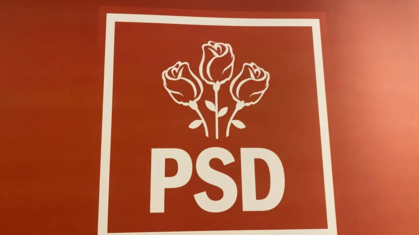 Un fost ministru al Muncii intervine în scandalul burselor sociale: 'PSD va contesta în instanța de contencios administrativ imediat după adoptare'