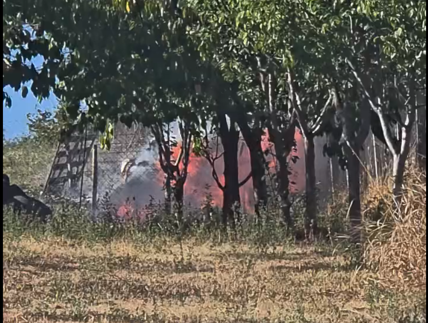 VIDEO. A luat foc o livadă din Cluj-Napoca. Localnicii au cerut disperați ajutor, când flăcările mistuiau tot: „Avem nevoie de ajutor!”