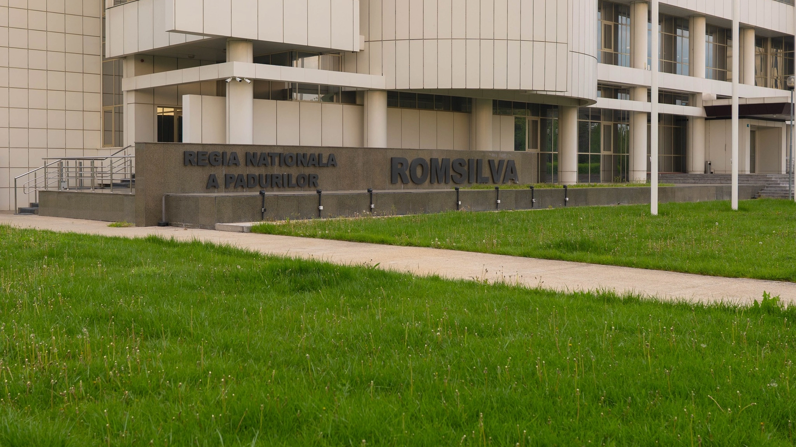 Federaţia Silva solicită modificarea de urgenţă a HG privind reorganizarea Romsilva