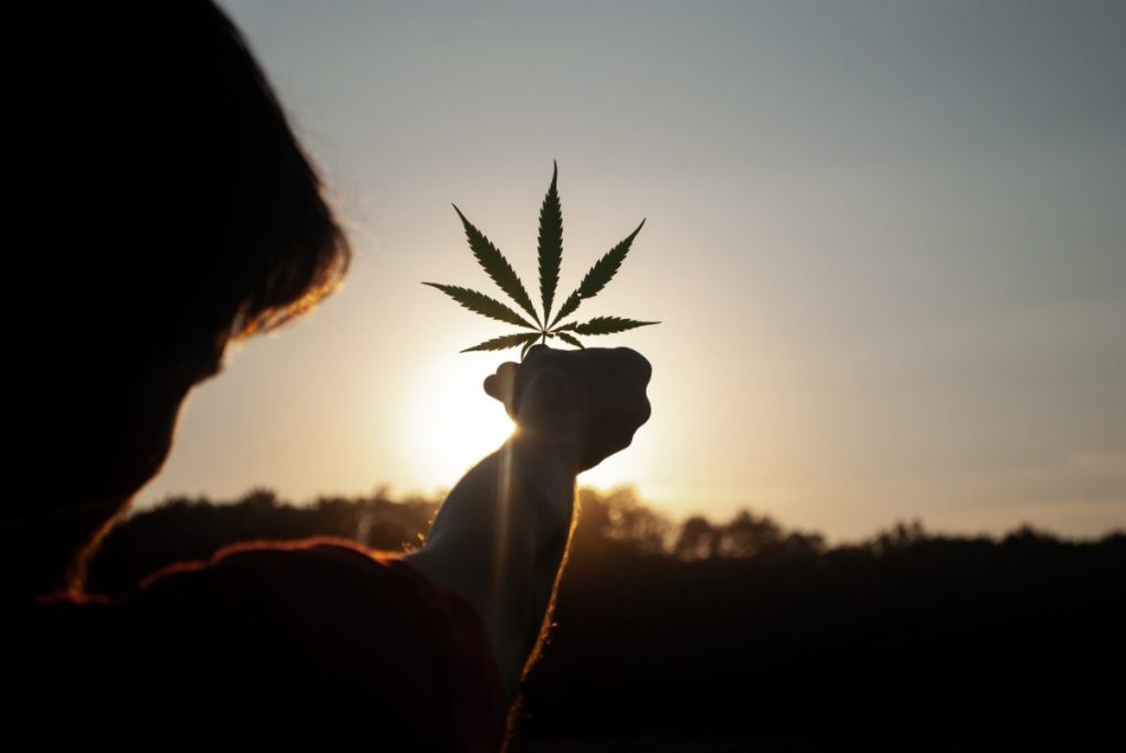 Consumul de cannabis îl depășește pe cel de țigări în cel mai recent sondaj Gallup despre obiceiurile americanilor