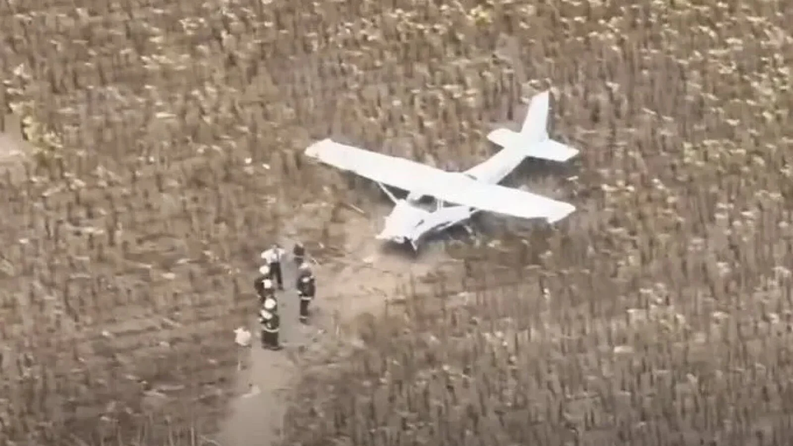 VIDEO Incident bizar în Ungaria: un bărbat beat a furat un avion Cessna 172 și s-a îndreptat spre centrala nucleară Paks. Armata a trimis avioane de luptă Gripen