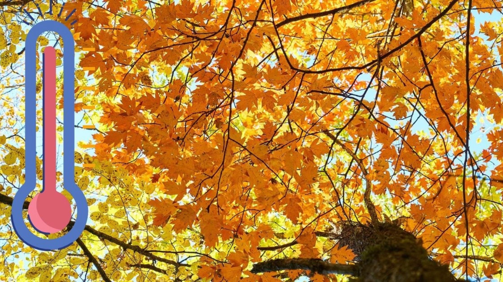 Meteorologii anunță un 1 septembrie cu temperaturi în creștere și valori caniculare