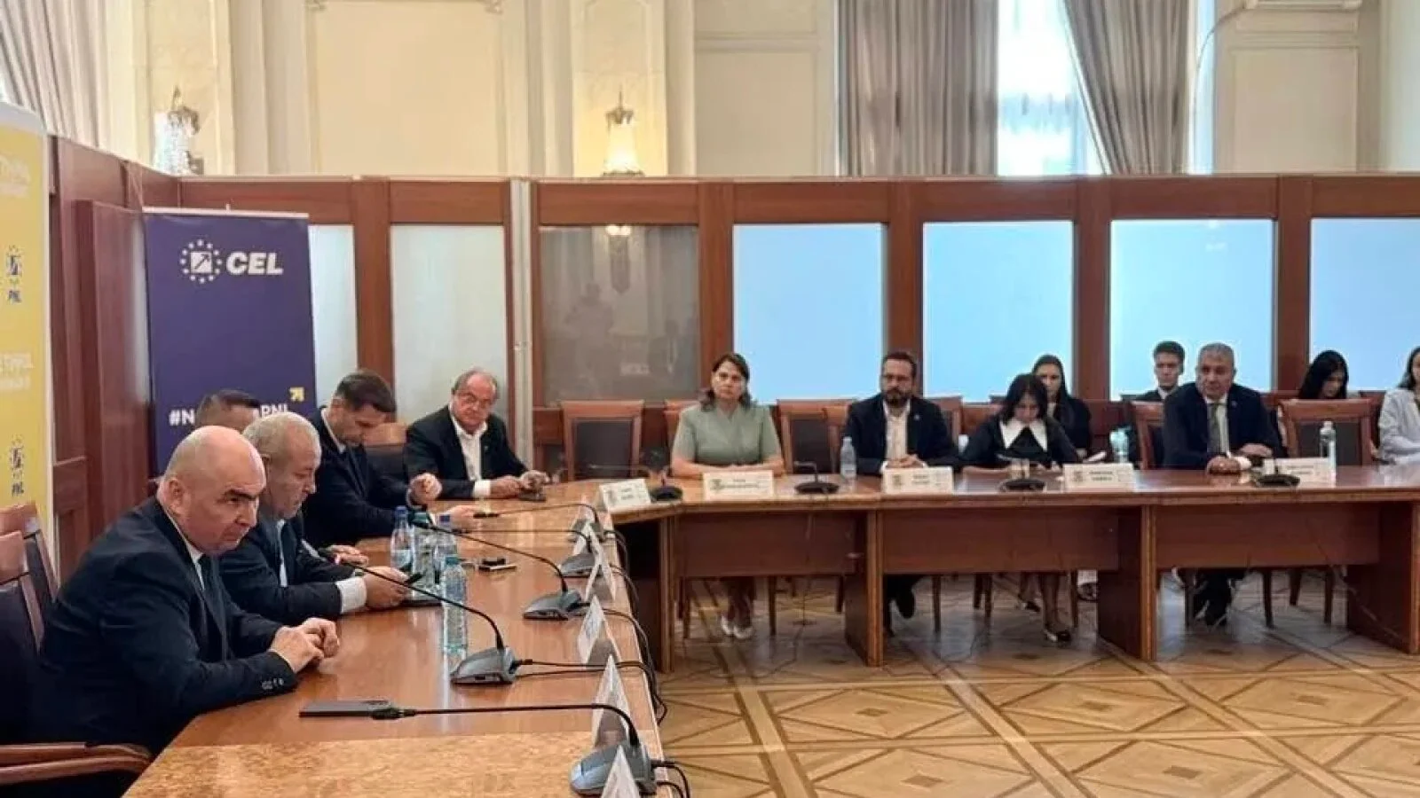 EXCLUSIV Grupul PNL din Senat și-a pedepsit politic 'disidenții': Anisie și Pauliuc, taxate pentru votarea guvernului Veștea (surse)