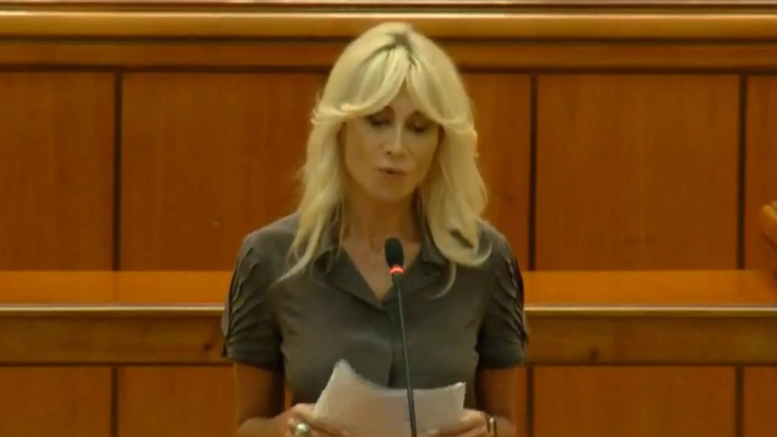 Decizii în PNL: Funcție-cheie primită de Raluca Turcan! Adrian Cozma rămâne vicepreședintele Camerei Deputaților! Lucian Bode, 'executat'