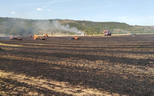 Proprietarii terenurilor incendiate trebuie să suporte costurile intervenției pompierilor / Solicitare a prefectului de Caraș-Severin / „Numai așa vom stopa aceste incendieri intenționate”