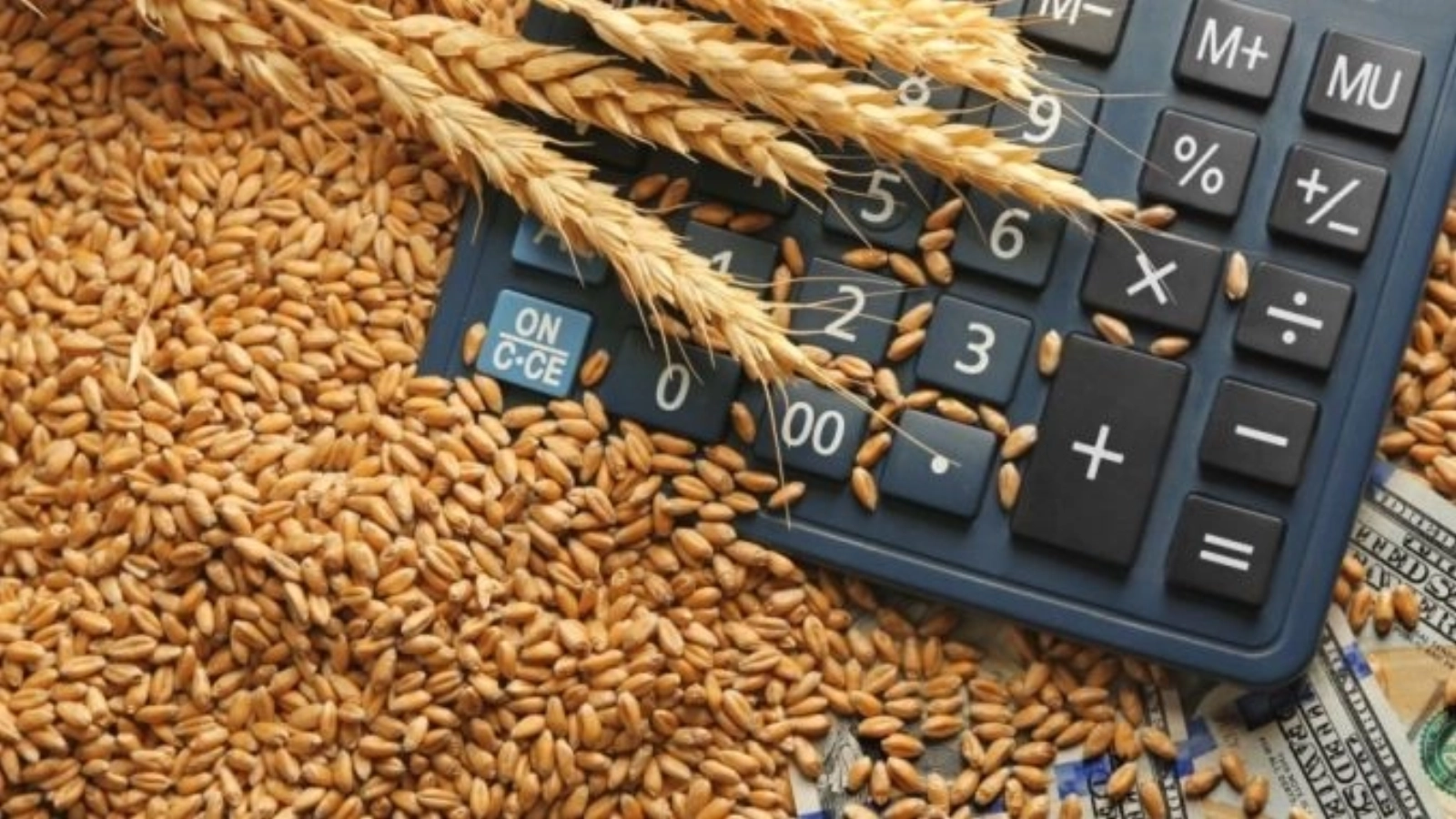 Se schimbă vântul pe piața cerealelor: Un anunț privind Marea Neagră pune presiune pe prețul grâului