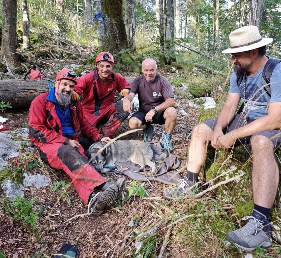 Câinele unui lituanian a fost salvat de speologii Salvamont Bihor / A rămas blocat la 60 de metri adâncime în Avenul Borțig, după ce a căzut în timpul unei drumeții / Animalul nu a fost rănit