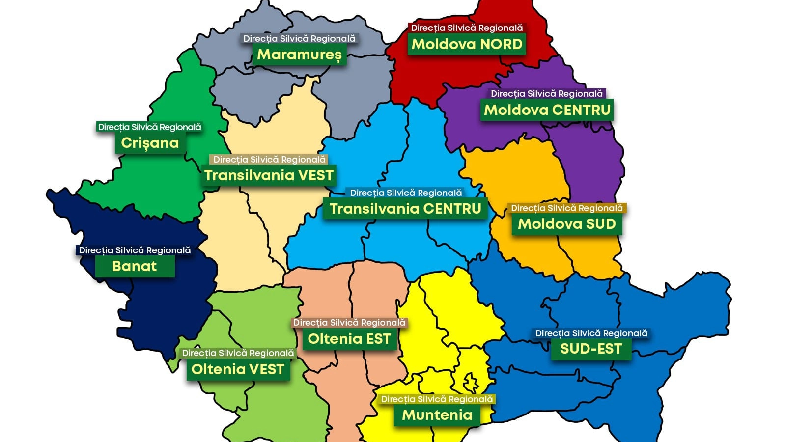 Sindicatele din silvicultură merg cu reorganizarea Romsilva în CSAT. Atac la Diana Buzoianu