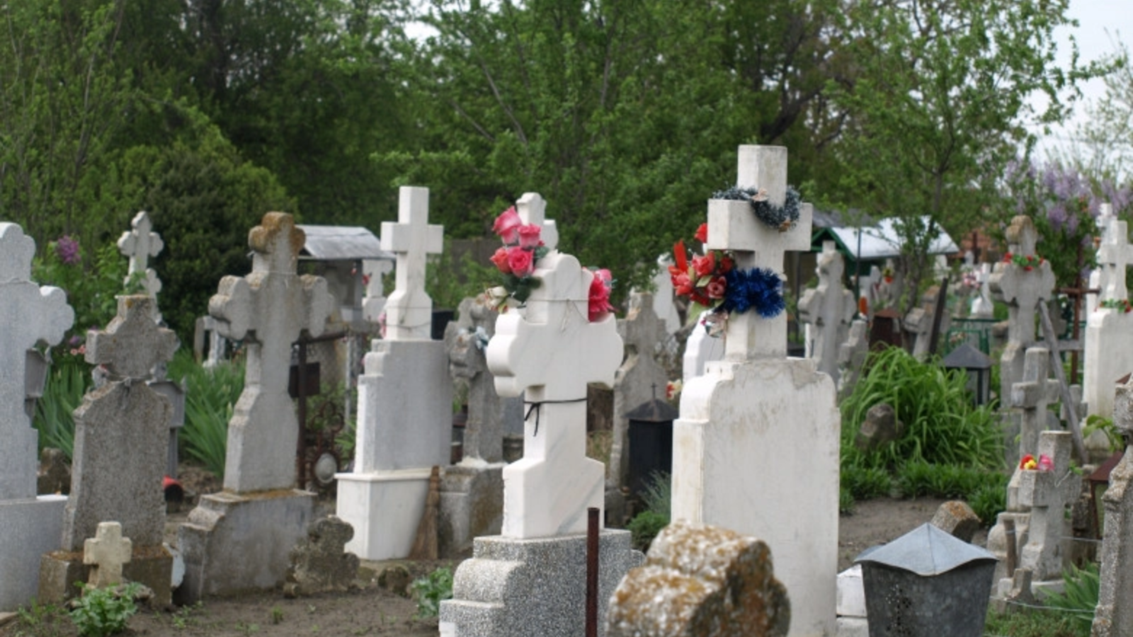 Concurs de săpat morminte la granița cu România - Marele câștigător a primit o sumă de bani drept premiu