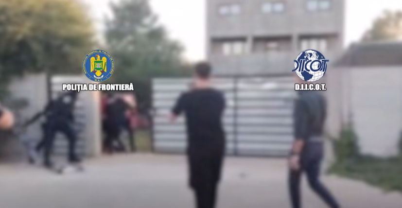 VIDEO. „Fabrică” de droguri descoperită de anchetatori. Peste 90 de plante și zeci de kilograme de cannabis au fost descoperite