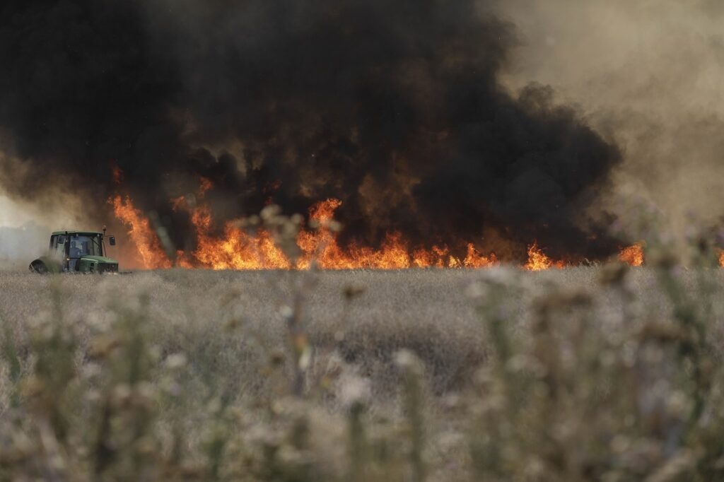 Trenuri oprite în zona Făurei din cauza unui incendiu de vegetație