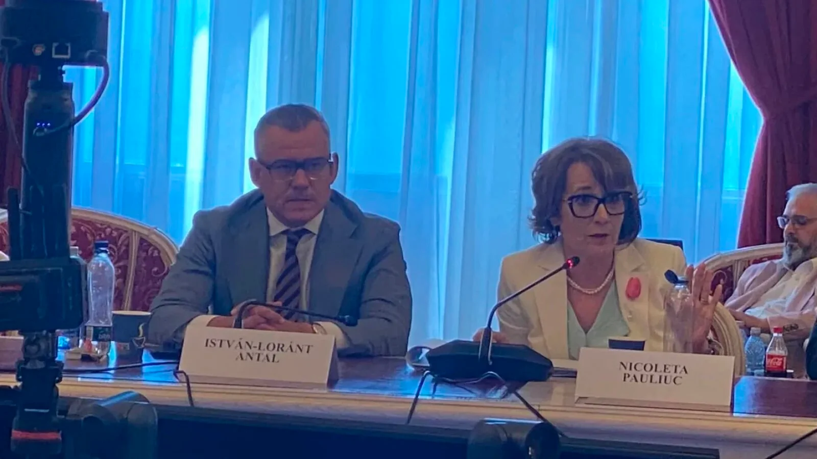 Executată de Bolojan de la șefia Comisiei de Apărare, Nicoleta Pauliuc propune 9 amendamente la legea care limitează mandatele șefilor de servicii
