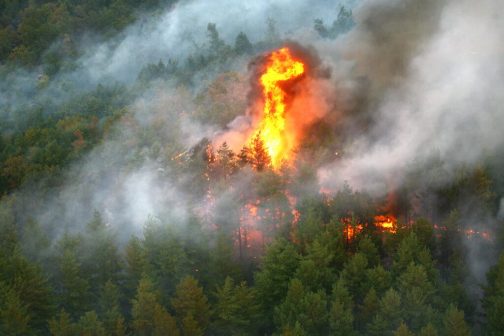 Un voluntar care participa la operațiunea de stingere a unor incendii de pădure din Italia, filmat în timp dădea foc vegetației