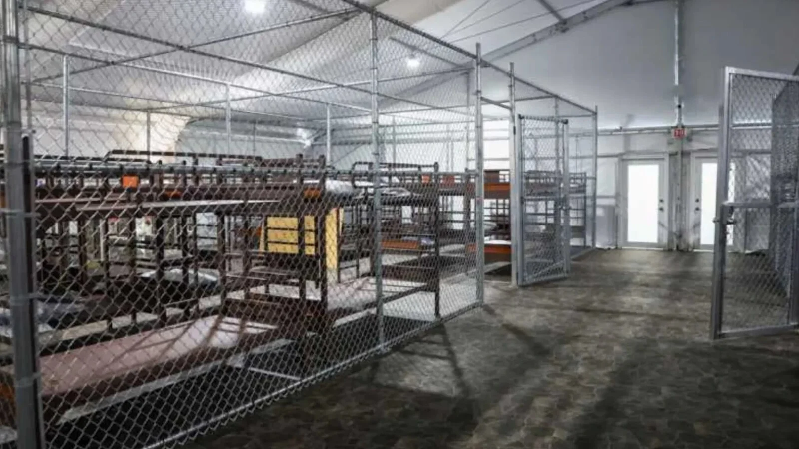 Ce s-a întâmplat în spatele ușilor închise la „Alcatrazul aligatorilor” din Florida