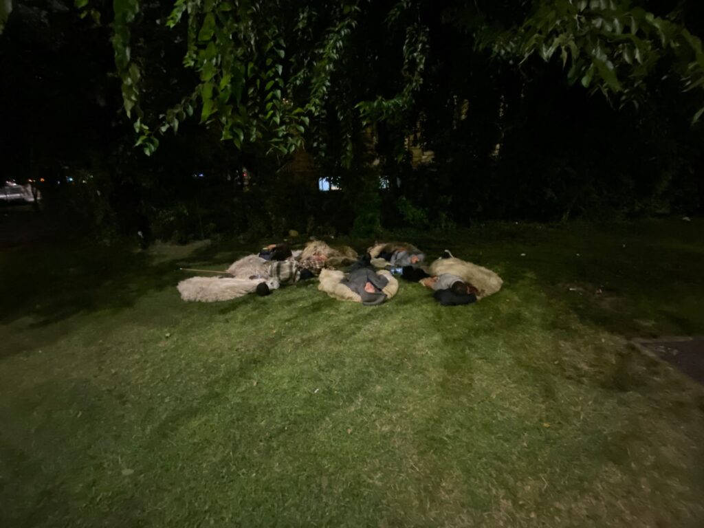 VIDEO | Miorița din parcul de lângă Muzeul Antipa / Mai mulți ciobani au dormit sub cerul liber, înveliți în cojoace, pe iarbă sau pe caldarâm