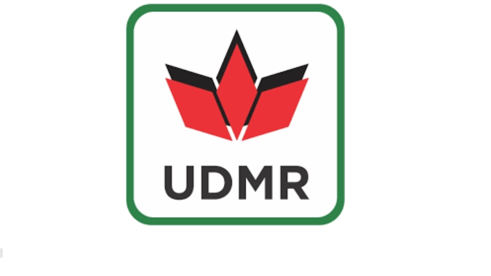 Scandal mai rar întâlnit în interiorul UDMR: Partidul îi cere demisia unui viceprimar și i-a retras sprijinul politic