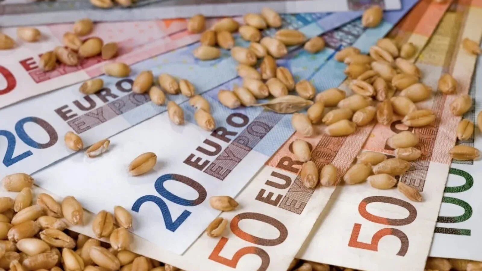 Fierbe piața cerealelor: Producția mondială pierde din record, prețurile urcă puternic